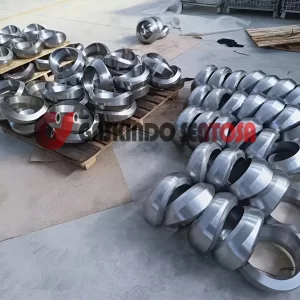 JUAL WELDOLET CARBON STEEL A105N JUAL WELDOLET Carbon Steel A105N,JUAL WELDOLET Stainless Steel 304,JUAL WELDOLET Stainless Steel 316