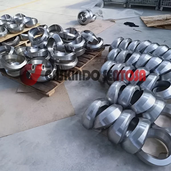 JUAL WELDOLET CARBON STEEL A105N JUAL WELDOLET Carbon Steel A105N,JUAL WELDOLET Stainless Steel 304,JUAL WELDOLET Stainless Steel 316
